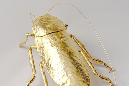 Ατομική έκθεση του Capten | Cockroaches – Κατσαρίδες