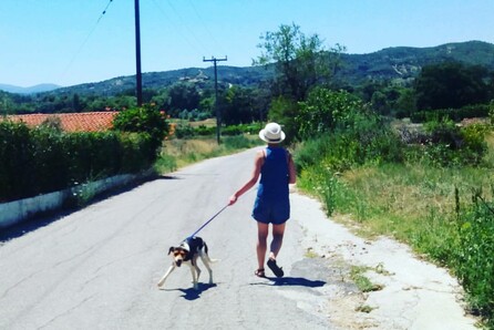 Έξι καλλιτέχνες | Έξι ταινίες μικρού μήκους | Έξι βραδιές προβολών στην Κάμιρο