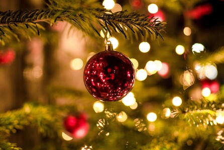 Moonlight Boutique Christmas Wonderland
