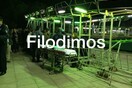 Δύο συλλήψεις για το ατύχημα με τρενάκι στο Αίγιο