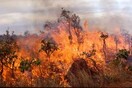 Σε ύφεση η πυρκαγιά στο Μαρκόπουλο