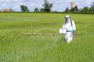 Η Ευρωπαϊκή Επιτροπή ανανέωσε για πέντε χρόνια την έγκριση για την πιθανώς καρκινογόνο γλυφοσάτη