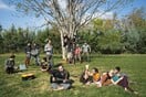 Ονειρο Καλοκαιρινής Νύχτας