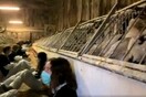Παραγωγός φουά γκρα κατηγορεί ακτιβιστές για 500 νεκρές πάπιες