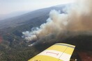 Κύπρος: «Στάχτη» δεκάδες εκτάρια με πεύκα και άγρια βλάστηση στο Εθνικό Πάρκο Ακάμα - Όλα δείχνουν εμπρησμό
