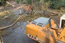 Κρήτη: Νεκρός αγρότης που καταπλακώθηκε από δέντρο