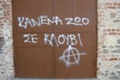 Θεσσαλονίκη: Έγραψαν συνθήματα σε νυχτερινό κέντρο και καταστήματα - «Κανένα ζώο σε κλουβί»