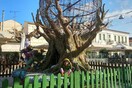 Αίγιο: Καλικάντζαροι αντί για φάτνη και Άγιος Βασίλης σε κάδο - Αντιδρούν για τον χριστουγεννιάτικο στολισμό
