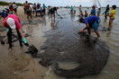 Βραζιλία: Η πετρελαιοκηλίδα έφθασε για πρώτη φορά στην πολιτεία του Ρίο ντε Τζανέιρο