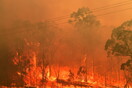 Αυστραλία: «Καταστροφικός» ο κίνδυνος πυρκαγιών - Δύο πυροσβέστες νεκροί