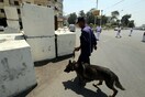 Οι ΗΠΑ δεν στέλνουν άλλα σκυλιά για εκρηκτικά σε Αίγυπτο και Ιορδανία: «Δε τα φροντίζουν και πεθαίνουν»