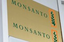 Η Monsanto παραδέχθηκε ότι χρησιμοποίησε παράνομο ζιζανιοκτόνο στη Χαβάη