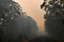 Αυστραλία: Τοξικό νέφος από τις πυρκαγιές έχει σκεπάσει την Καμπέρα
