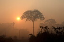 Αμαζόνιος: Τμήμα του τροπικού δάσους «αποβάλλει περισσότερο διοξείδιο του άνθρακα από ό,τι απορροφά»