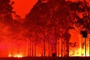 Περιβαλλοντικός όλεθρος στην Αυστραλία: Οι φωτιές κατέστρεψαν το ένα πέμπτο των δασών