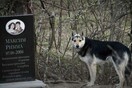 Ο Ρώσος «Χάτσικο» δεν εγκαταλείπει τον τάφο των ιδιοκτητών του εδώ και 16 χρόνια