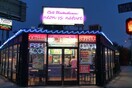 Civil Disobedience: Neon vs Nature