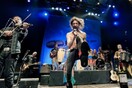 Gogol Bordello