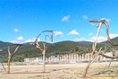  Θώρακες, άλογα και άνθη