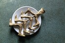 Hera Büyüktaşçıyan, Fishbone / Ψαροκόκαλο