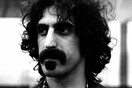 Zappa for ever!