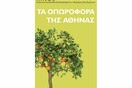 Συζήτηση για τα "Οπωροφόρα της Αθήνας" & Προβολή της ταινίας