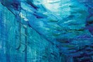 DE NATURA / ART AQUATIQUE