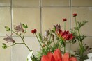 Μαρία Οικονομοπούλου,Ένα Τόσο Τρυφερό Τίποτα