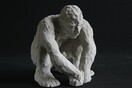 Μάριον Ιγγλέση, Homo Faber