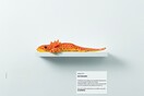 Μουσείο χωρίς Σπίτι / Museum Without A Home