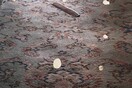 Μυρτώ Ξανθοπούλου, Rendering the Sky 