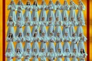 Emfylo-ποιείν / to construct the Gender