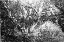 Γιάννης Κονταράτος, ‘Ελλη Κουτσουκέλλη, Κώστας Τσικνής-Τα καλύτερα 2015