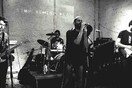 Stop Rewind Play w/ Guppy Fish + Rollands