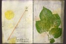Θοδωρής Λάλος, V for Vivlio