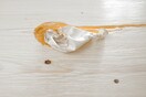 ΑΛΕΞΑΝΔΡΟΣ ΠΑΠΑΘΑΝΑΣΙΟΥ - "SPECIFIC OBJECTS/ UNSPECIFIED CULTURE"