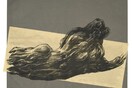 Ελένη Δερβίσογλου, «Οι κορμοί και το κορμί της ζωντανής ζωγραφικής». 