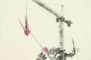 Νίκος Παπαδόπουλος, Flora Filopappou: Ένα ταξίδι από την Πόλη των Βράχων στον κήπο