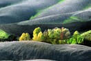 Landscapes