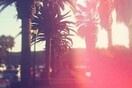 Flippinradio x Symposium 