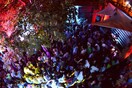 Sound Directiva & Full Circle 