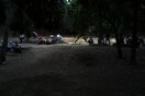 3ο Φεστιβάλ Ελαιώνα
