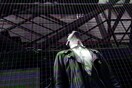 Lockbird Ultrasoundtrack