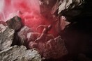 Xenos