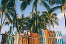 4o Surf Art Festival 