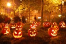 A Spooktacular Halloween Night! #3