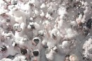 Let's Get Foam