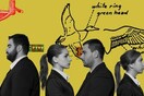 Η αγριόπαπια 