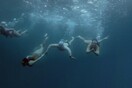 Swim or Die: Είκοσι τέσσερις αθλητές «κολυμπούν» και «καταδύονται» στο έργο του Αλέξανδρου Παπαδιαμάντη 