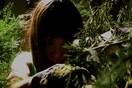 ΟΜΑΔΑ UNIVERSALIA, THE FOREST